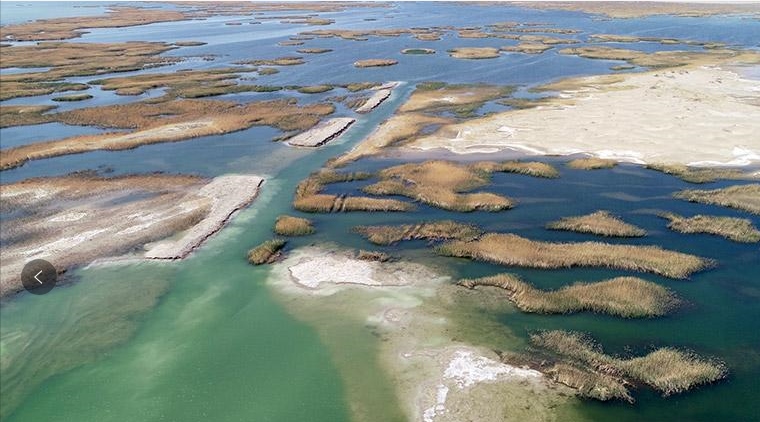 內(nèi)蒙古阿拉善:多彩額濟(jì)納 繽紛迎客來(lái)