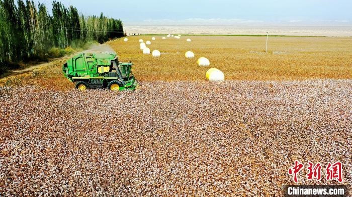 近年來(lái)，當(dāng)?shù)孛藁ǚN植戶的生產(chǎn)生活發(fā)生了翻天覆地的變化?！《?攝