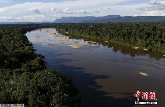 資料圖：亞馬孫雨林內(nèi)的河流。