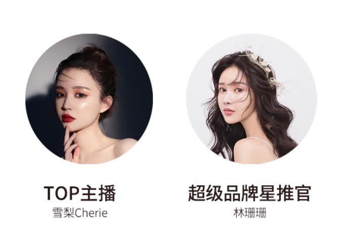 宸帆電商官網(wǎng)截圖。