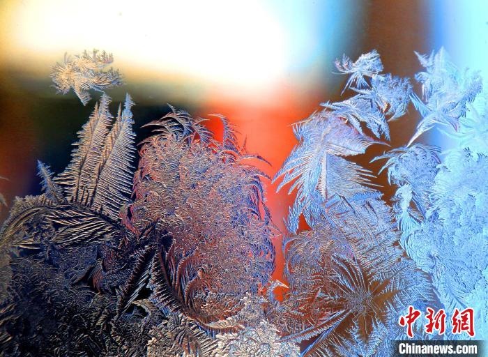 惟妙惟肖的冰窗花，似一幅風(fēng)景畫?！O書程 攝