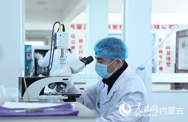 內(nèi)蒙古中農(nóng)興安種?？萍加邢薰韭鋺艨朴抑衅欤瑸槿馀．a(chǎn)業(yè)發(fā)展提供了優(yōu)質(zhì)的種源保障。白俊華攝