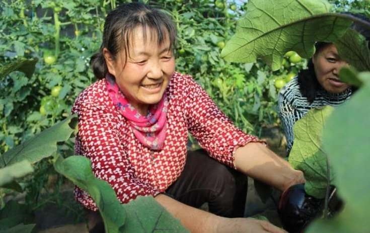 1598588524729576.jpg 微信圖片_20200828122154.jpg