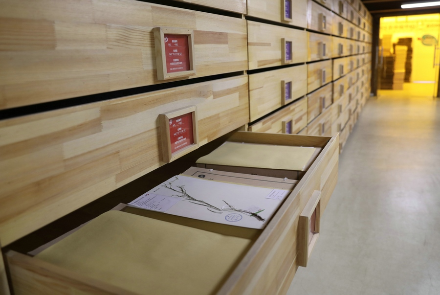 1615984684174570.jpg 7O5A4291.JPG