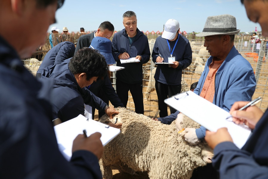 1623169069176125.jpg 7O5A3467.jpg