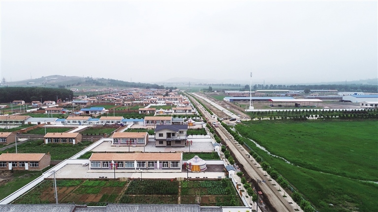 1628214549124981.jpg 00300503888_3501aa02.jpg