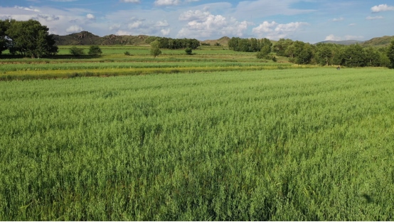 1628584592482741.png 微信圖片_20210810163603.png