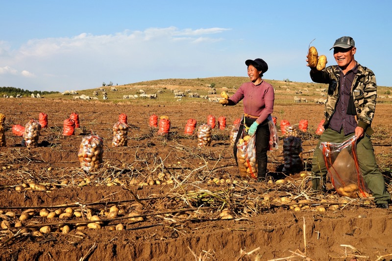 1632553724384926.jpg 微信圖片_20210925140202.jpg