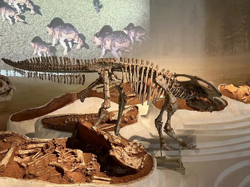 1648201415372870.png 圖片5.png