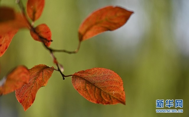 1662607564172428.jpg 00300584741_853c8d77.jpg