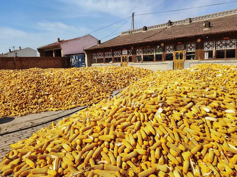 1665979904966795.jpg 微信圖片_20221017121030.jpg