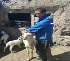 1678431393994937.png image.png