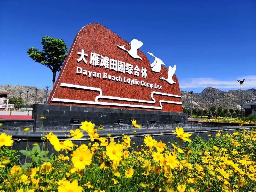 1681722724198376.jpg 001.jpg