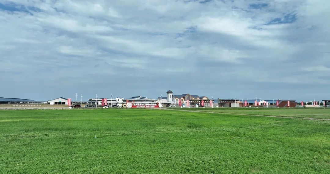 1691816409102880.jpg 1.jpg