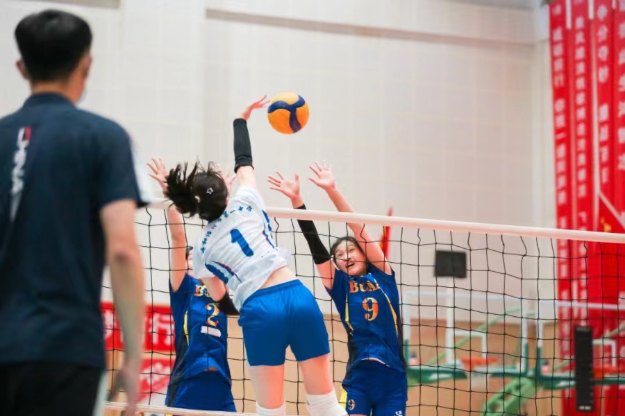 1695565026680332.jpeg WechatIMG29.jpeg