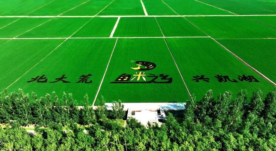 1698117808327902.png 3.png