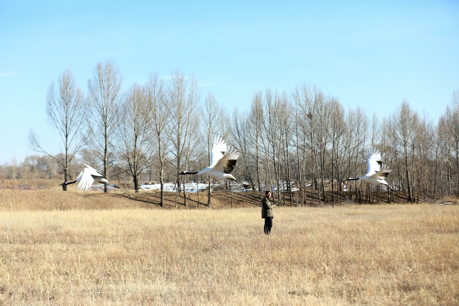 1708164519116844.jpg 7O5A4916.JPG