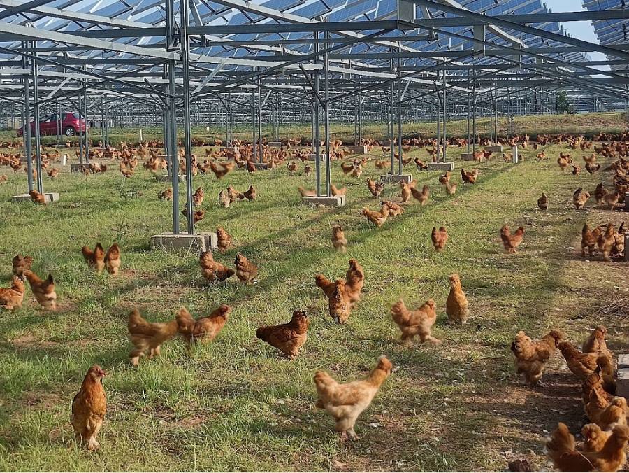 1718604142110630.png 747344dc5b103bd286f3665ac5e532171726.png