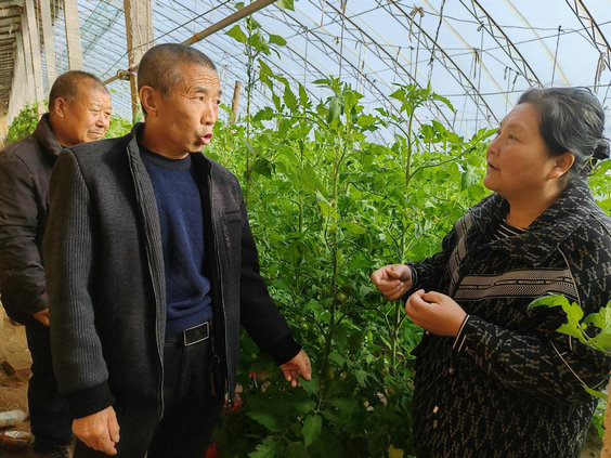 1740985674100264.jpg 趙慧杰1.jpg