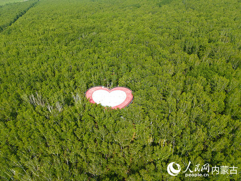 1752798436704516.jpg 呼倫3.jpg