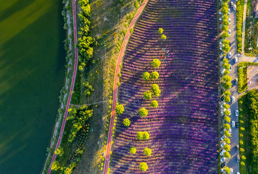 1754577860731497.jpg 好人4.jpg