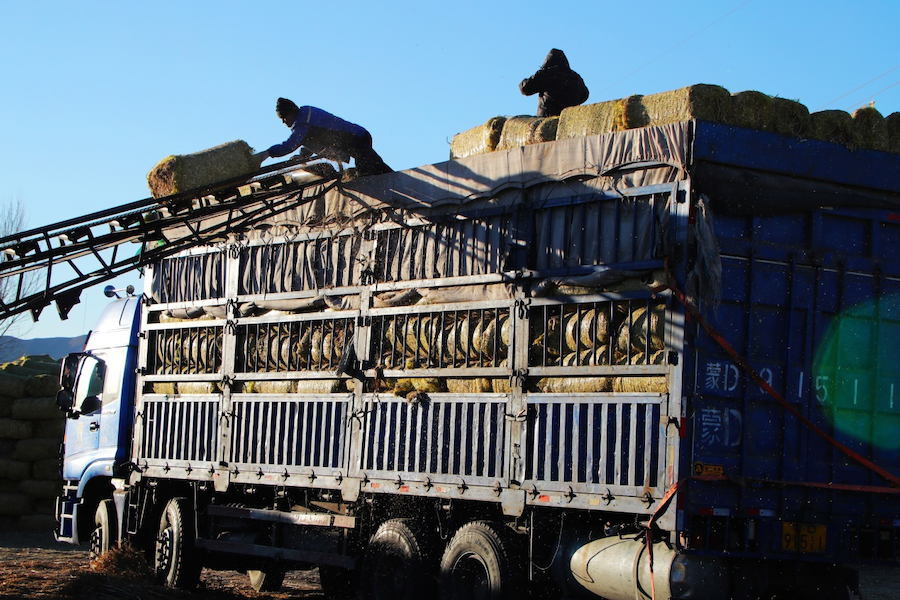 1763777157557648.png 圖片3.png