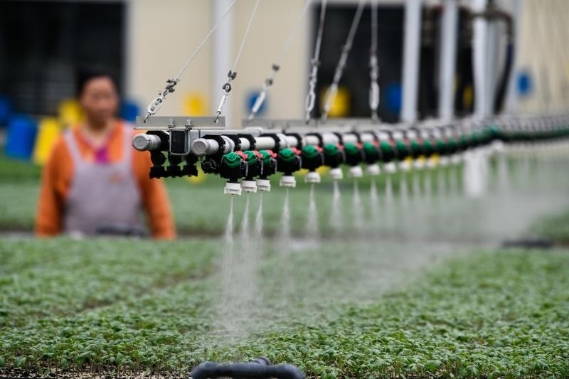 工人在貴陽市開陽縣楠木渡蔬菜良種繁育中心查看自動噴灌系統給辣椒苗澆水情況（2023年5月24日攝）。新華社記者 楊文斌 攝