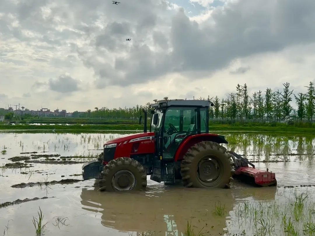 浙江省金華市東陽市城東街道寀盧村的一臺無人駕駛耕地機。靜玄 攝