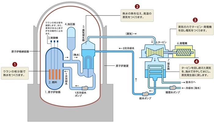 核電站運作原理圖。通常的核電站排水未直接接觸核燃料。（圖片來源：日本北海道電力株式會社網(wǎng)站）