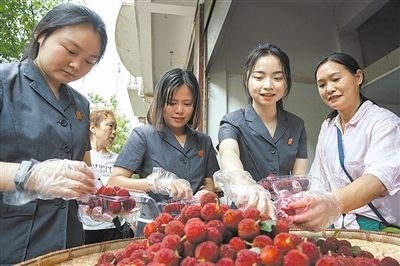 志愿者和村民一起將摘下的楊梅裝進(jìn)食品盒里。