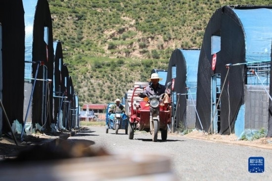 7月29日，農(nóng)戶在卓尼縣納浪鎮(zhèn)納浪村黑木耳種植基地勞作。