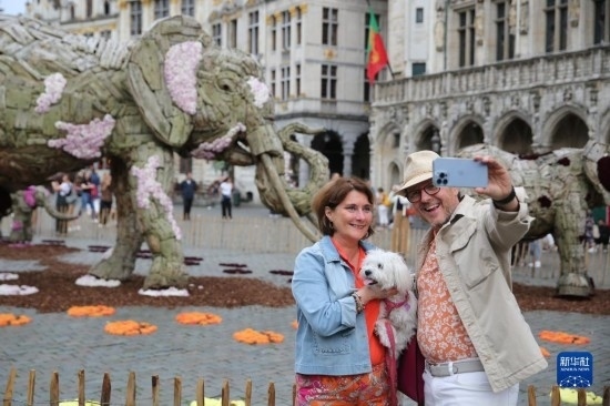 8月11日，觀眾在比利時布魯塞爾“鮮花時光”展覽上拍照。新華社記者 趙丁喆攝