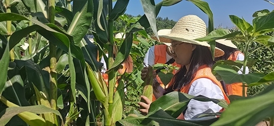 北京工商大學(xué)組織學(xué)生開展暑期社會(huì)實(shí)踐。學(xué)校供圖