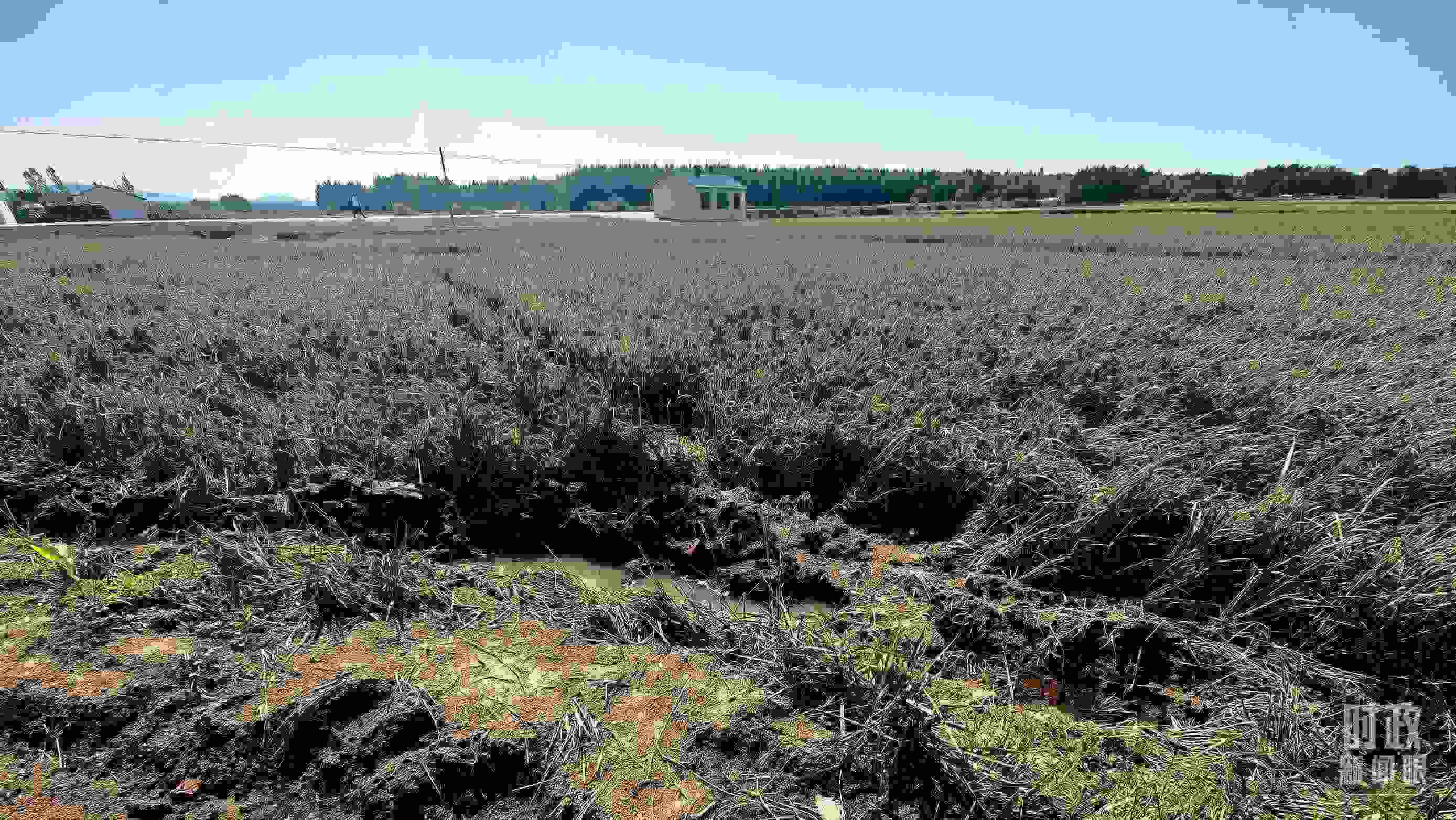 △圖為龍王廟村在洪災(zāi)中受損的農(nóng)田。（總臺(tái)央視記者史偉拍攝）