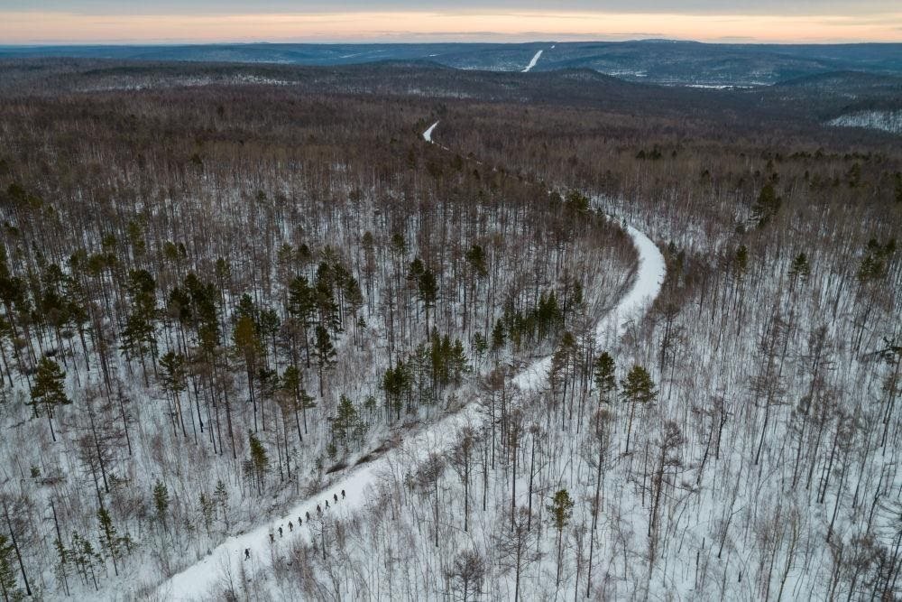 △2023年1月，漠河林場數(shù)十名職工自發(fā)組成的森林撫育隊伍，在人跡罕至的山林中作業(yè)。