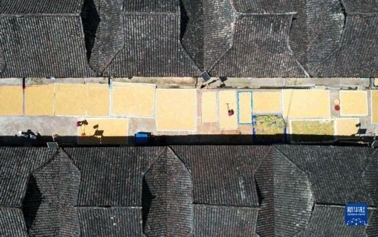 9月16日，在貴州省黔東南苗族侗族自治州從江縣加勉鄉(xiāng)污扣村，村民在晾曬稻谷（無人機照片）。