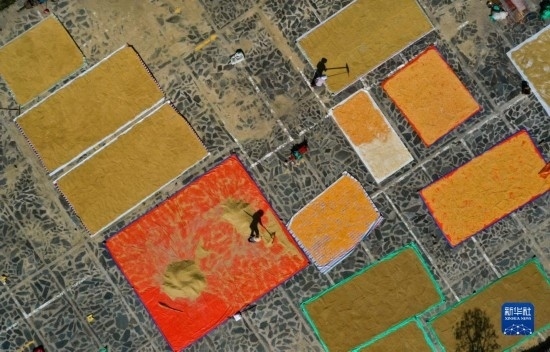 9月16日，貴州省黔東南苗族侗族自治州丹寨縣南皋鄉(xiāng)石橋村村民在晾曬農(nóng)作物（無人機照片）。