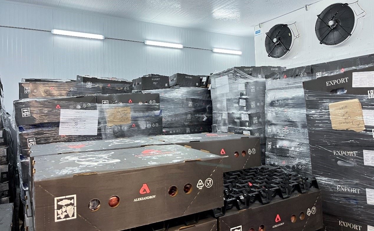 恒溫冷庫(kù)中，包裝好的牛肉等待發(fā)往中國(guó)。人民網(wǎng)記者 朱虹攝