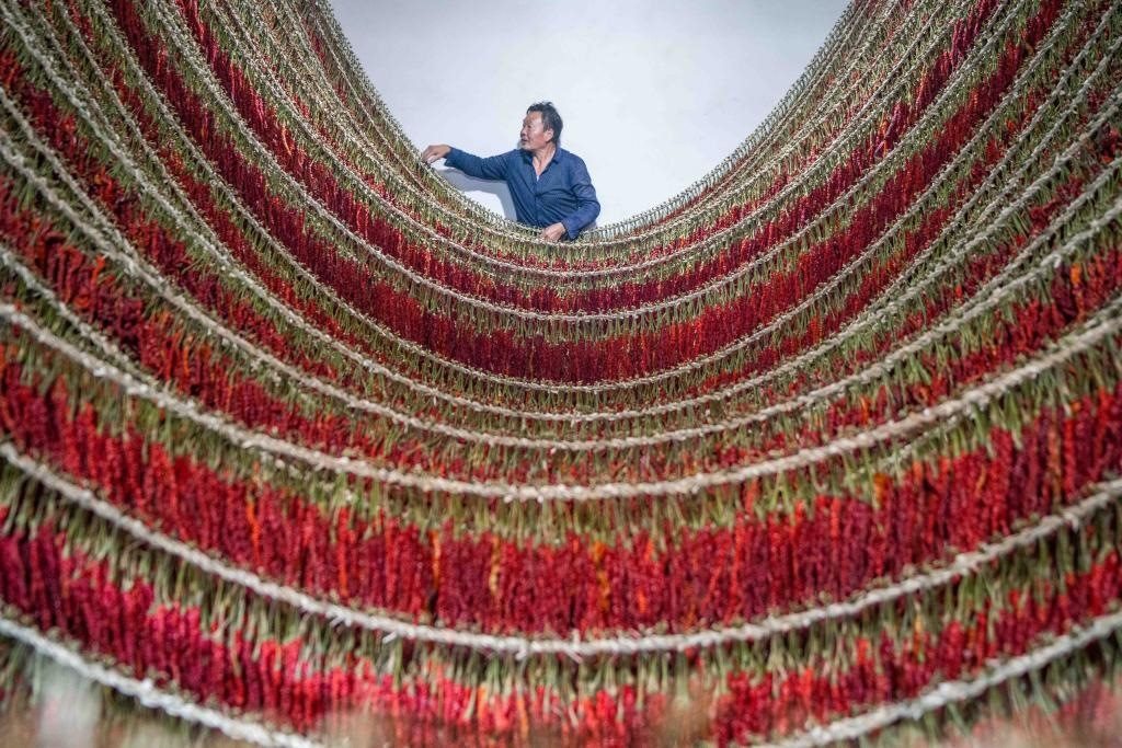 在貴州省畢節(jié)市大方縣理化鄉(xiāng)金雞村，村民查看辣椒烘干情況。新華社發(fā) 羅大富攝