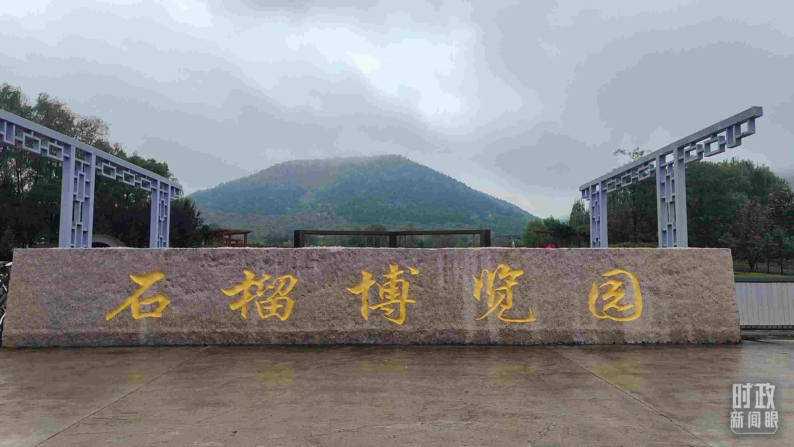 △石榴種質(zhì)資源庫位于石榴博覽園內(nèi)。（總臺央視記者楊立峰拍攝）