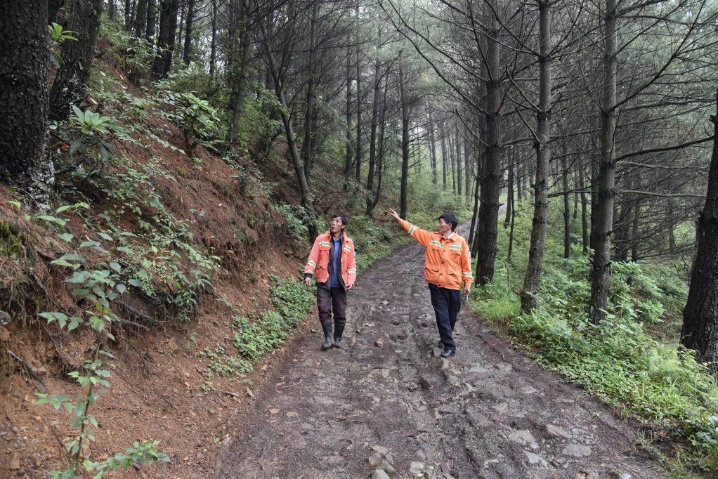 海雀村生態(tài)護(hù)林員馬正安（左）和海雀村林管員王光德（右）在日常巡山護(hù)林。新華社記者 李凡 攝