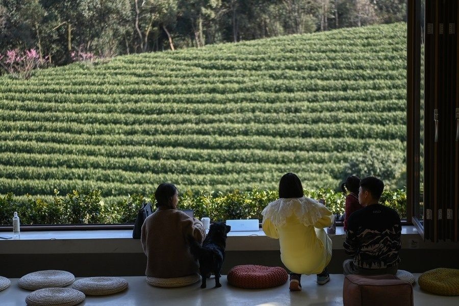游客在浙江省安吉縣黃杜村萬畝茶園邊的咖啡館休閑（2023年2月21日攝）。