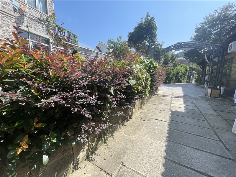 打卡杭州亞運(yùn)會丨“畫外桐塢”的深層蛻變 完美詮釋杭州的時代活力