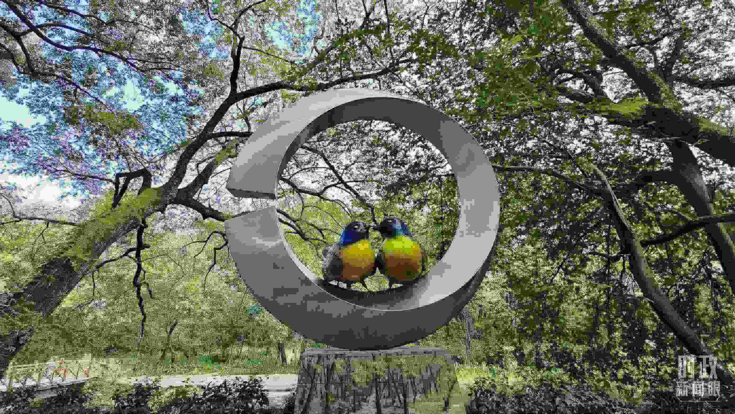 △石門村里的藍冠噪鹛雕像。（總臺央視記者許永松拍攝）