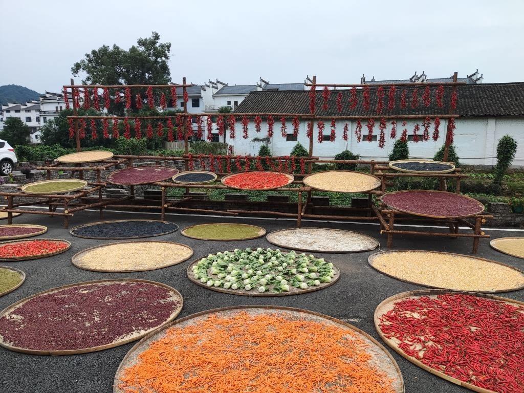 近日，江西省上饒市婺源縣秋口鎮(zhèn)王村村民晾曬的農(nóng)作物。新華社記者 劉佳敏 攝