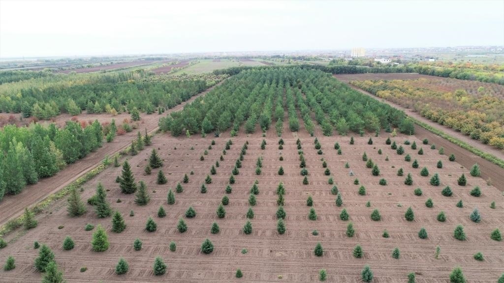 這是2023年9月11日在哈薩克斯坦首都阿斯塔納拍攝的一處植物種質(zhì)資源苗圃（無人機(jī)照片）。新華社發(fā)（法爾哈特·圖克諾夫 攝）