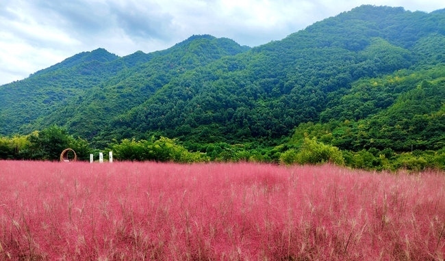 寶成線鳳縣境內(nèi)的路邊。