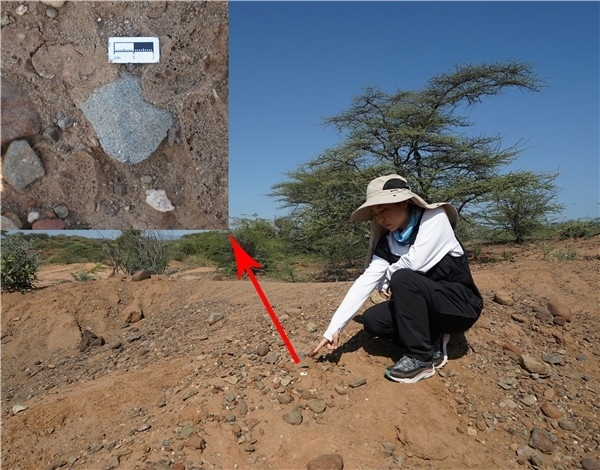 地層中的勒瓦婁哇石片。中肯聯(lián)合考古隊(duì)供圖