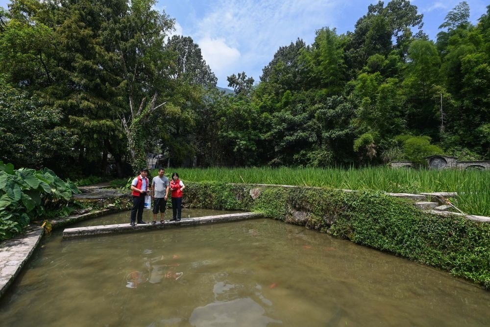 2023年8月17日，浙江省麗水市青田縣方山鄉(xiāng)田魚養(yǎng)殖戶吳勇強(qiáng)（中）在接受青田農(nóng)商銀行“小蜻蜓”服務(wù)隊(duì)志愿者提供的“惠民易貸”上門服務(wù)。近年來，青田縣金融發(fā)展中心聯(lián)合各個(gè)金融機(jī)構(gòu)優(yōu)化配套鄉(xiāng)村振興金融服務(wù)，推出“惠民易貸”“農(nóng)家樂貸”等金融產(chǎn)品，重點(diǎn)支持涉農(nóng)龍頭企業(yè)及特色種養(yǎng)殖產(chǎn)業(yè)。新華社記者 徐昱 攝