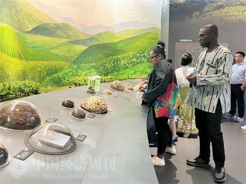  （在中國藥都中醫(yī)藥博物館，外媒記者了解中醫(yī)藥發(fā)展史。中國經(jīng)濟(jì)周刊記者 郭志強(qiáng) 攝）